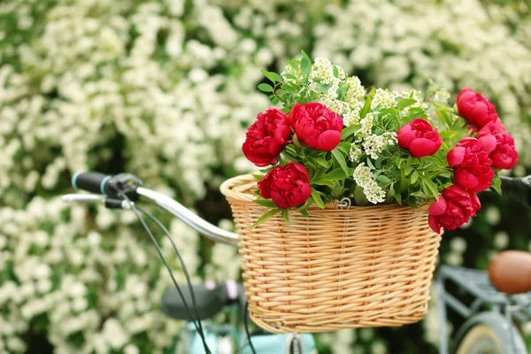 Cykel med korg med blommor — Stockfoto