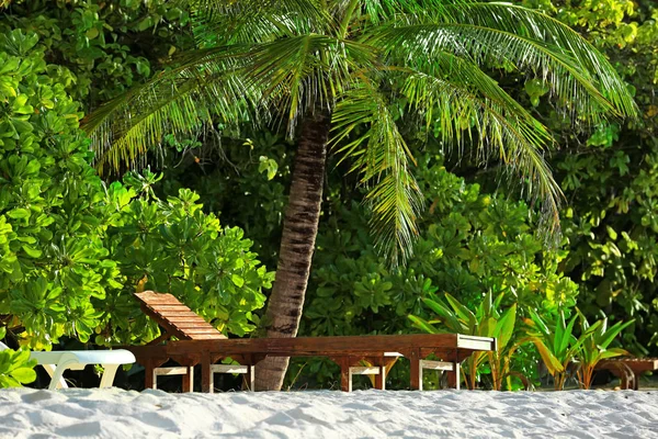 Tropik sahilde şezlong — Stok fotoğraf
