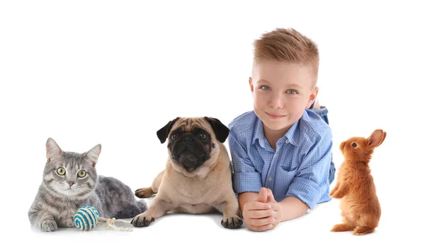 Menino com animais de estimação bonitos — Fotografia de Stock