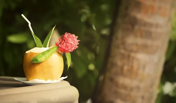 Fresh coconut water drink — Stock Photo, Image