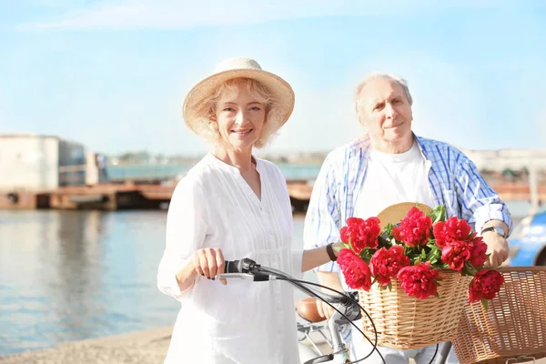 Happy senior couple with bicycles
