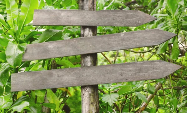 Blank directional signs in park — Stock Photo, Image