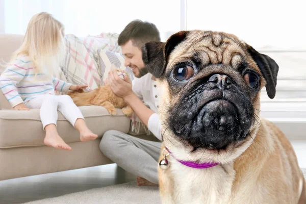 Hund und glückliche Familie mit Katze im Hintergrund — Stockfoto