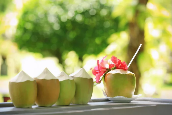 Fresh coconut water drink — Stock Photo, Image