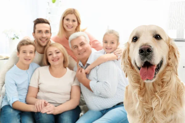 Hund och lycklig familj på bakgrund — Stockfoto