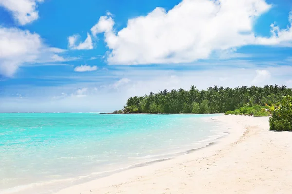 Malerischer Strand am Meer — Stockfoto