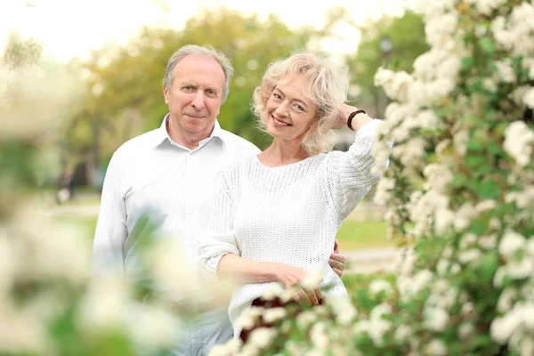 Heureux couple aîné dans le parc — Photo