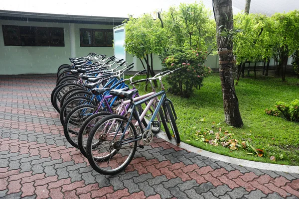 Bicycles parked outdoors near green lawn — Stock Photo, Image