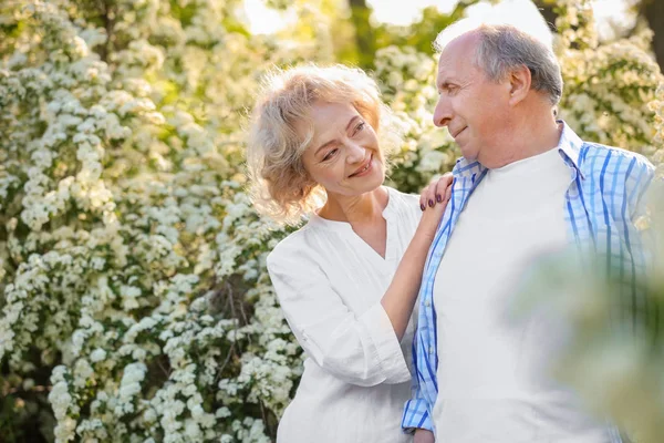 Heureux couple aîné dans le parc — Photo