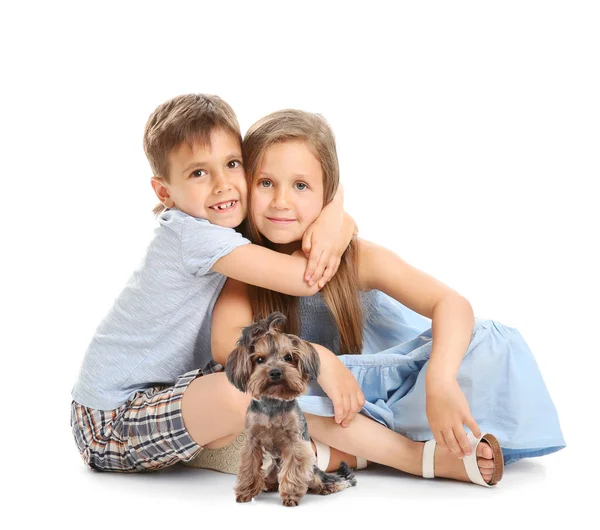 Beyaz arka plan üzerinde sevimli köpek küçük çocukla — Stok fotoğraf