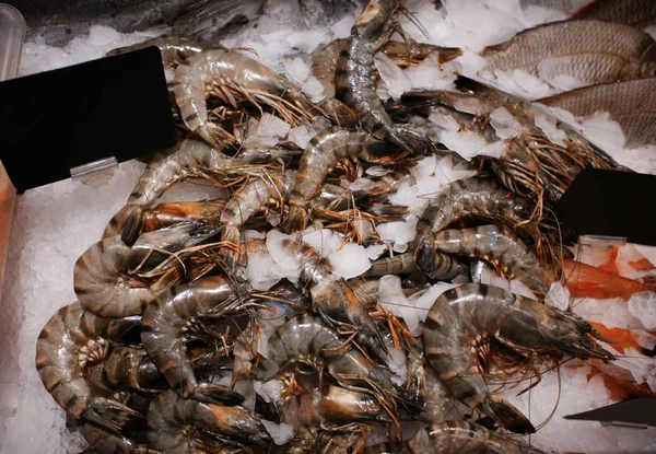 Fresh shrimps in supermarket — Stock Photo, Image