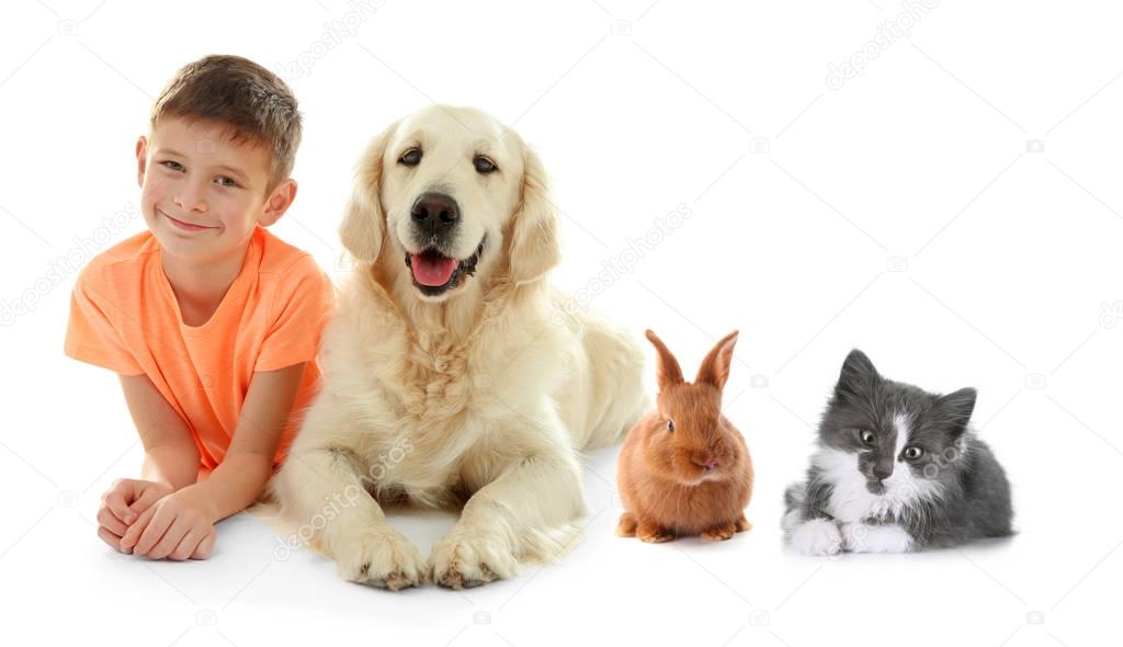 Little boy with cute pets on white background