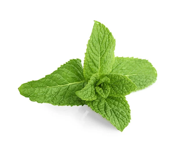 Fresh lemon balm leaves — Stock Photo, Image