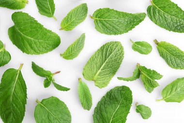Taze Melisa yaprakları 