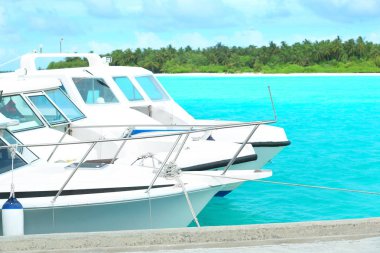 Modern tekneler Resort'ta demirli