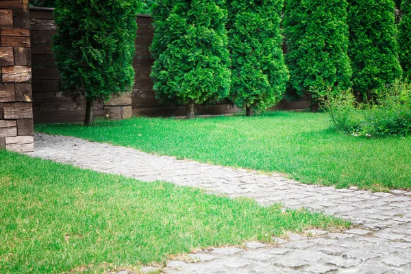 Paved sidewalk with green lawn in park — Stock Photo, Image