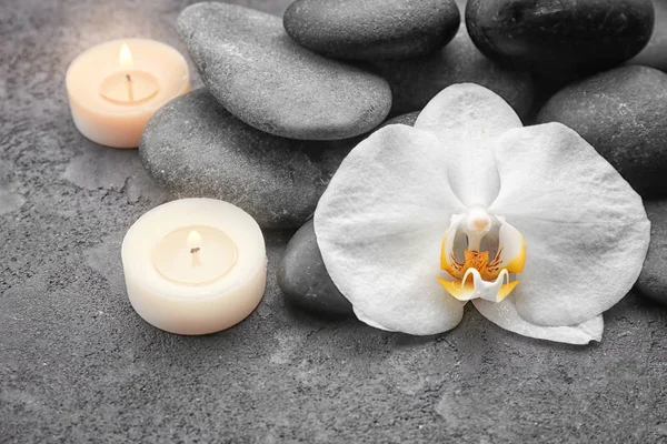 Güzel beyaz orkide ile kompozisyon — Stok fotoğraf