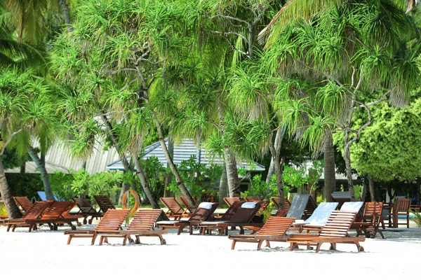 Playa tropical con tumbonas — Foto de Stock