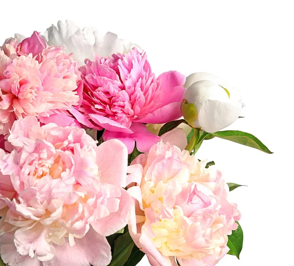 Hermosas flores de peonía —  Fotos de Stock