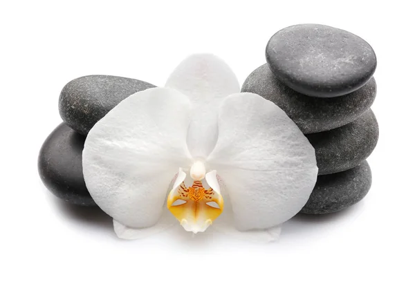 Bela flor de orquídea com pedras — Fotografia de Stock