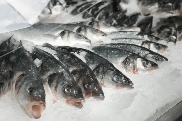 Pescado fresco en el supermercado —  Fotos de Stock