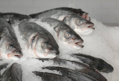 Süpermarkette taze balık