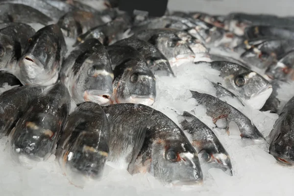 Süpermarkette taze balık