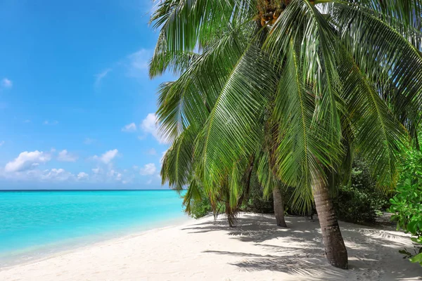 Strand, a tropical resort — Stock Fotó