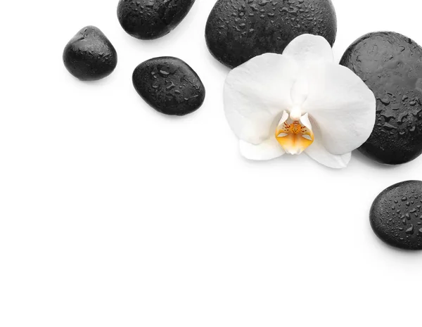 美丽的兰花花用石头 — 图库照片