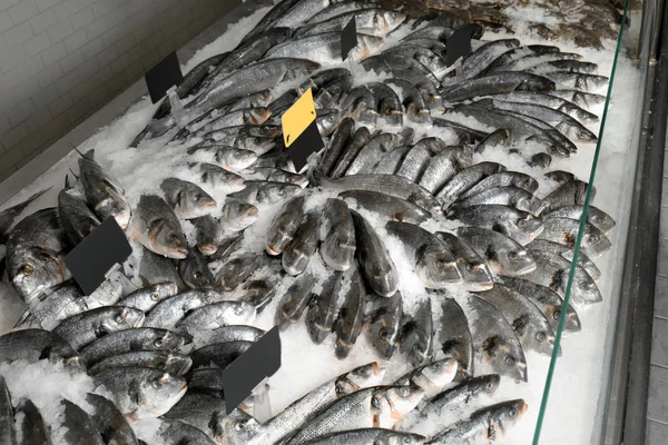 Fresh fish in supermarket — Stock Photo, Image