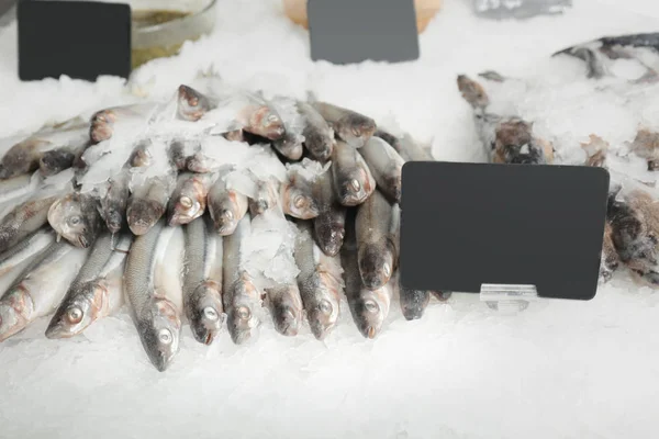 Fresh fish in supermarket — Stock Photo, Image