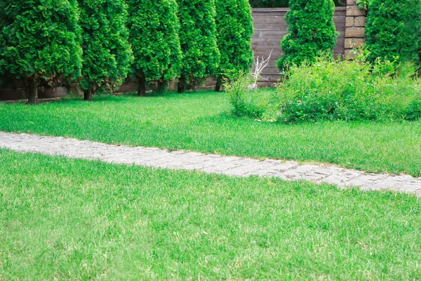 Мощеный тротуар с зеленой лужайкой — стоковое фото
