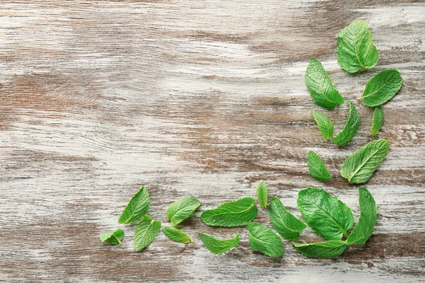 Fresh lemon balm leaves — Stock Photo, Image