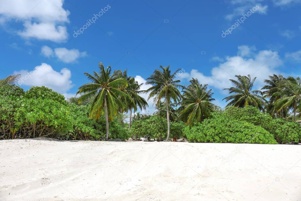 beach at tropical resort