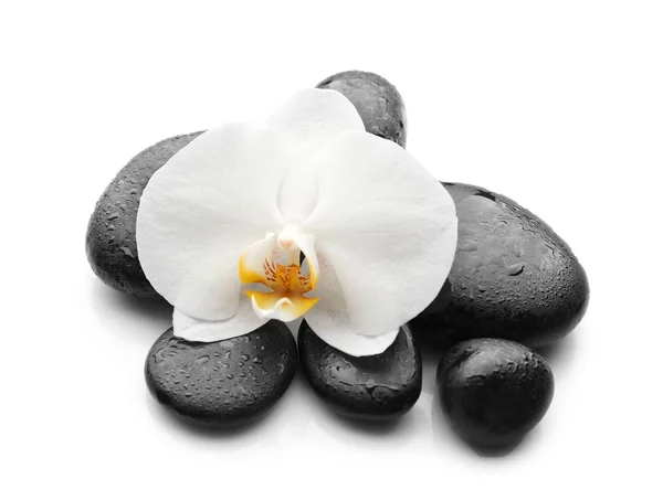 Hermosa flor de orquídea con piedras —  Fotos de Stock