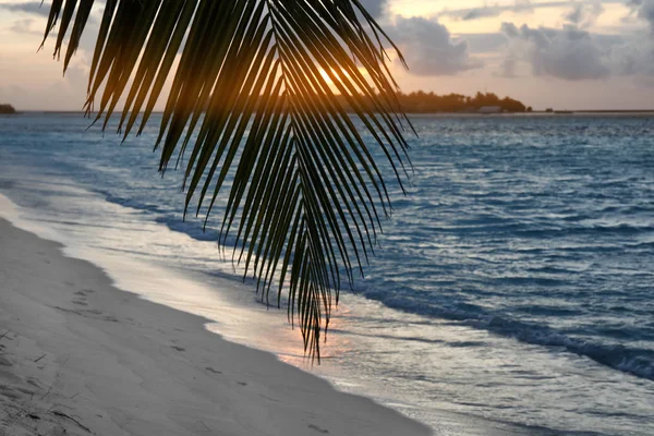 Bella spiaggia tropicale — Foto Stock