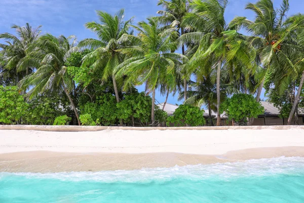Playa de arena con palmeras tropicales —  Fotos de Stock