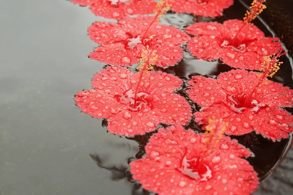 Vatten och vackra tropiska blommor — Stockfoto