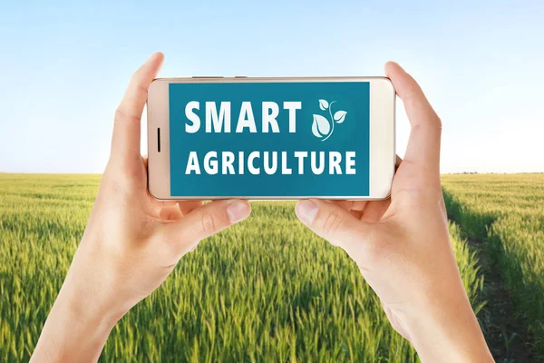 Woman with smartphone and wheat field — Stock Photo, Image