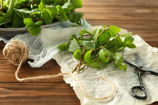 Lemon balm with scissors — Stock Photo, Image