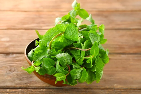 Cuenco con bálsamo de limón — Foto de Stock