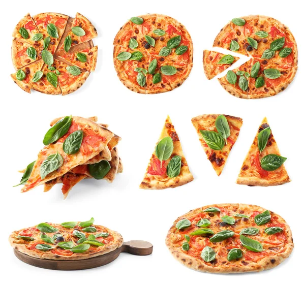 Koláž z lahodné pizzy s bazalkou listy na bílém pozadí — Stock fotografie