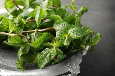 Melisa ile metal tepsi 