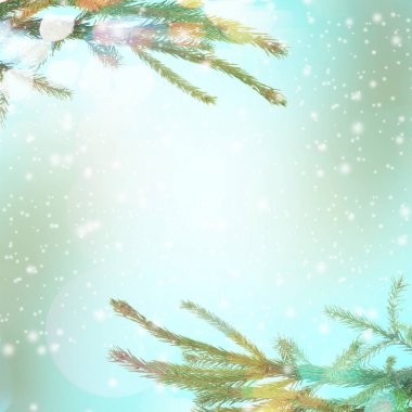 İğne yapraklı ağaç dalları çerçevesinde 