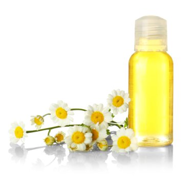 esans ve papatya çiçeği 