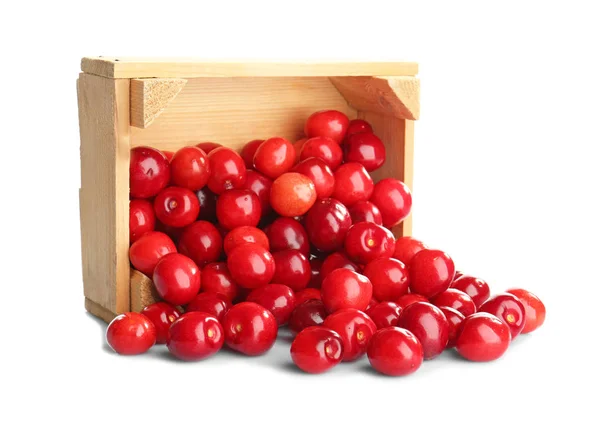 Box with sweet cherries — Stock Photo, Image