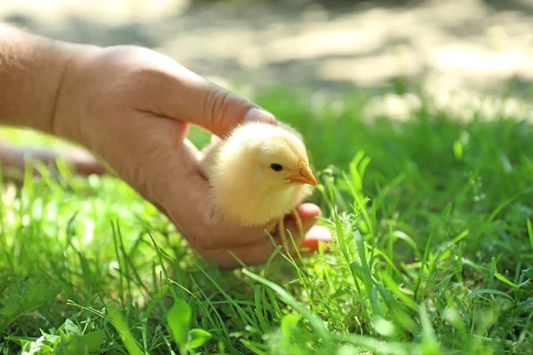 Hand met kleine meid — Stockfoto