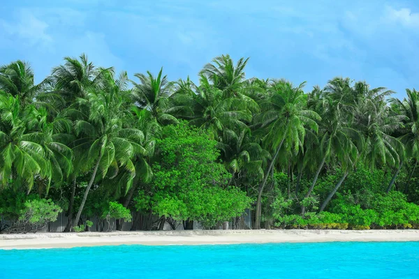 Strand, a tropical resort — Stock Fotó