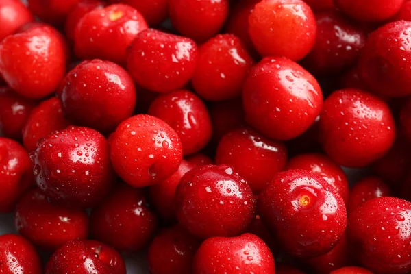 Cerises rouges douces — Photo