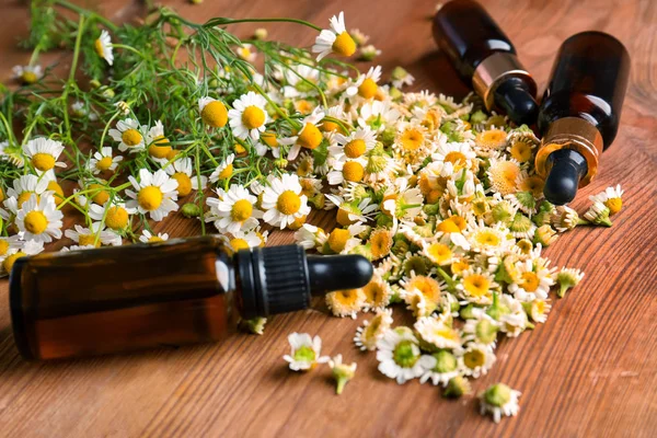 Olejek i kwiatów rumianku — Zdjęcie stockowe